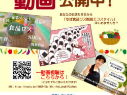 動画紹介チラシ